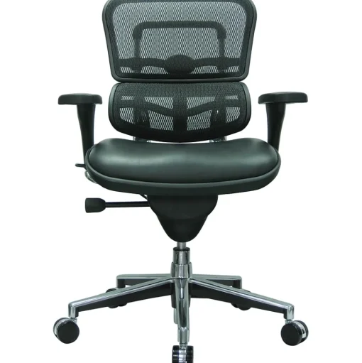 Eurotech Office Chairs<Raynor Mesh/Leather Mid Back Ergo human Chair, Black