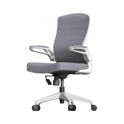 RAYNOR GROUP Office Chairs<ION Fabric Task Chair, Gray/White (ION-WH-GRY)