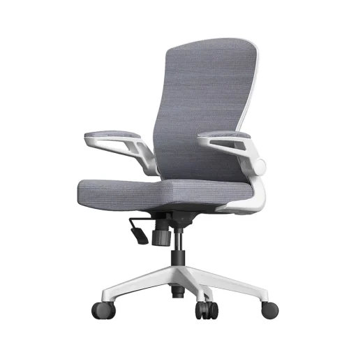RAYNOR GROUP Office Chairs<ION Fabric Task Chair, Gray/White (ION-WH-GRY)