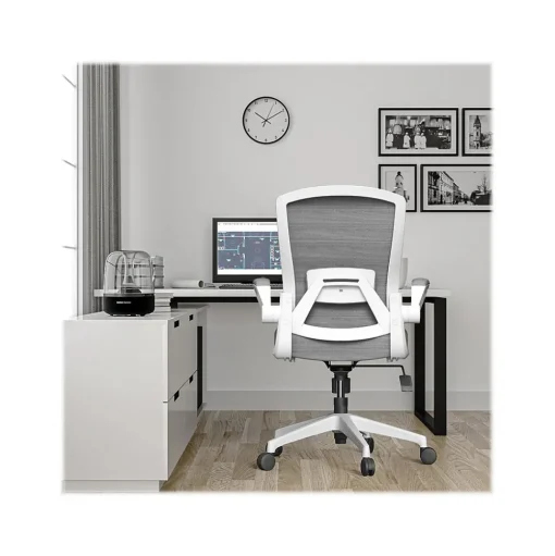 RAYNOR GROUP Office Chairs<ION Fabric Task Chair, Gray/White (ION-WH-GRY)