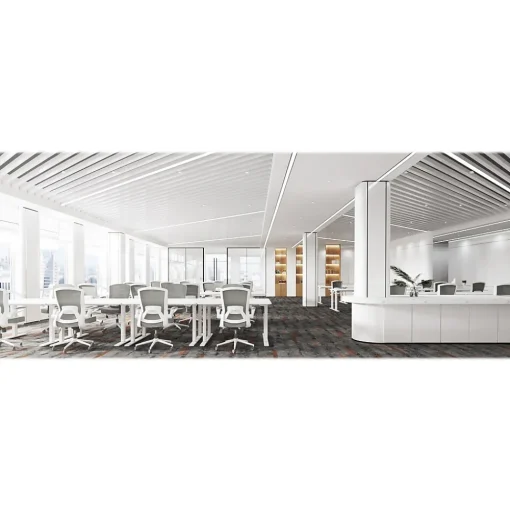 RAYNOR GROUP Office Chairs<ION Fabric Task Chair, Gray/White (ION-WH-GRY)