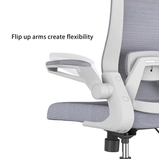 RAYNOR GROUP Office Chairs<ION Fabric Task Chair, Gray/White (ION-WH-GRY)