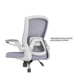 RAYNOR GROUP Office Chairs<ION Fabric Task Chair, Gray/White (ION-WH-GRY)