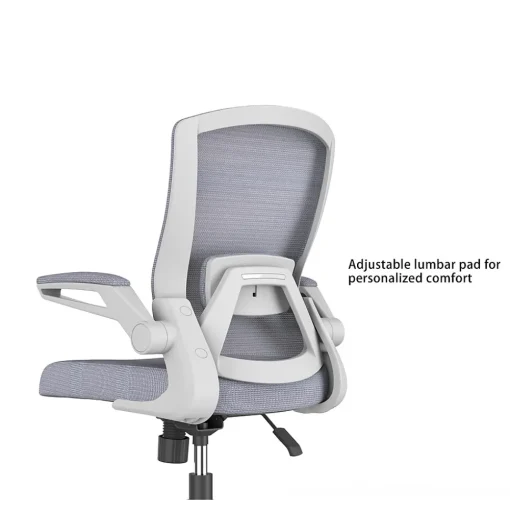 RAYNOR GROUP Office Chairs<ION Fabric Task Chair, Gray/White (ION-WH-GRY)