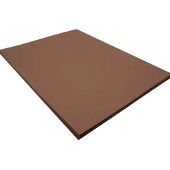 Riverside Construction Paper<3D 9" x 12" Construction Paper, Dark Brown, 50 Sheets (P103606)