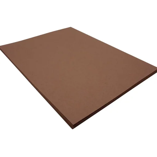 Riverside Construction Paper<3D 9" x 12" Construction Paper, Dark Brown, 50 Sheets (P103606)