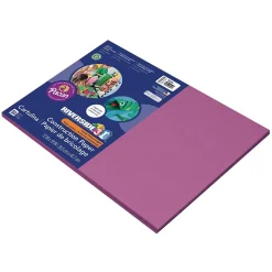 Riverside Construction Paper<3D 12" x 18" Construction Paper, Magenta, 50 Sheets (P103628)