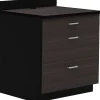 Safco Storage Cabinets<36"H Modular Break Room Three Drawer Base Cabinet, Asian Night/Black (1703AN)