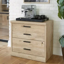Sauder File Cabinets<Mason Peak Commercial 2-Drawer Lateral File Cabinet, Letter/Legal Size, Lockable, 31"W x 19"D, Prime Oak (427827)