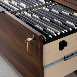 Sauder File Cabinets<Palo Alto Commercial 2-Drawer Lateral File Cabinet, Letter/Legal Size, Lockable, 31"W x 19"D, Spiced Mahogany (427822)
