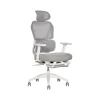 Sharper Image Office Chairs<S-850 Ergonomic Mesh Swivel Computer and Desk Chair, Light Gray/White (60106-LGRYWHT)