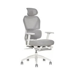 Sharper Image Office Chairs<S-850 Ergonomic Mesh Swivel Computer and Desk Chair, Light Gray/White (60106-LGRYWHT)