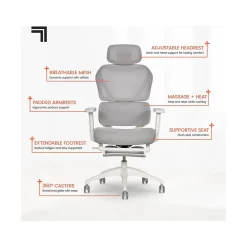 Sharper Image Office Chairs<S-850 Ergonomic Mesh Swivel Computer and Desk Chair, Light Gray/White (60106-LGRYWHT)