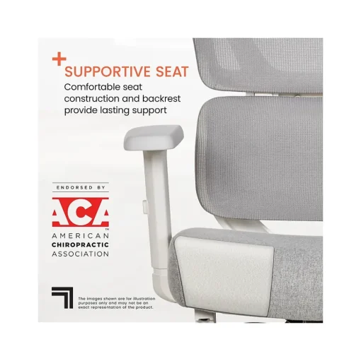 Sharper Image Office Chairs<S-850 Ergonomic Mesh Swivel Computer and Desk Chair, Light Gray/White (60106-LGRYWHT)