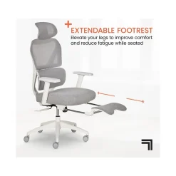 Sharper Image Office Chairs<S-850 Ergonomic Mesh Swivel Computer and Desk Chair, Light Gray/White (60106-LGRYWHT)