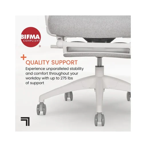 Sharper Image Office Chairs<S-850 Ergonomic Mesh Swivel Computer and Desk Chair, Light Gray/White (60106-LGRYWHT)