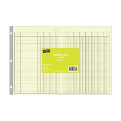 Staples Accounting & Record Journals<® Columnar Book, 12 Columns, 16.31" x 11", Green, 50 Sheets/Book (217885)