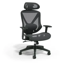 Staples Ergonomic Chairs<® Dexley Ergonomic Mesh Swivel Task Chair, (UN56946)