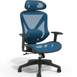 Staples Ergonomic Chairs<® Dexley Ergonomic Mesh Swivel Task Chair, (UN59375)