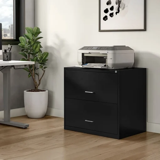 Staples File Cabinets<2-Drawer Lateral File Cabinet, Letter/Legal Size, Lockable, 27.3"H x 29.8"W x 20.6"D, Black (ST52141-CC)