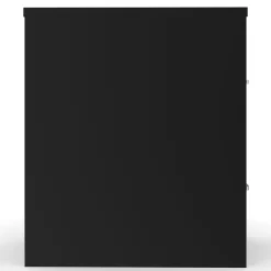 Staples File Cabinets<2-Drawer Mobile Vertical File Cabinet, Letter Size, Lockable, 29"H x 15"W x 25"D, Black (59555/25420)
