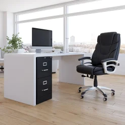 Staples File Cabinets<2-Drawer Mobile Vertical File Cabinet, Letter Size, Lockable, 29"H x 15"W x 25"D, Black (59555/25420)