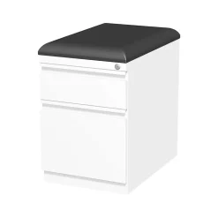 Staples File Cabinets<2-Drawer Vertical File Cabinet, Locking, Letter, , 19.88"D (25175D)