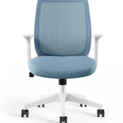 Staples Ergonomic Chairs<Essentials Ergonomic Fabric Swivel Task Chair, (UN60409)