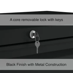Staples File Cabinets<HL8000 Commercial 5-Drawer Lateral File Cabinet, Locking, Letter/Legal, Black, 36"W (21754D)
