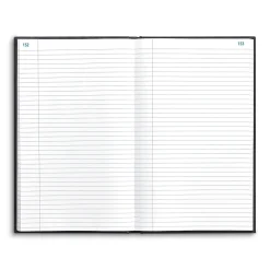 Staples Accounting & Record Journals<Record Book, 7.25"W x 11.75"H, Blue Marble, 300 Sheets/Book (886673)