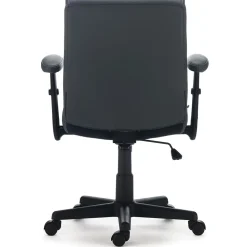 Staples Office Chairs<Traymore Ergonomic Faux Leather Swivel Computer and Desk Chair, (53246)