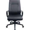 Tempur-Pedic Office Chairs<Ergonomic Leather Swivel Executive Chair, Black (TP2500-BLKL)