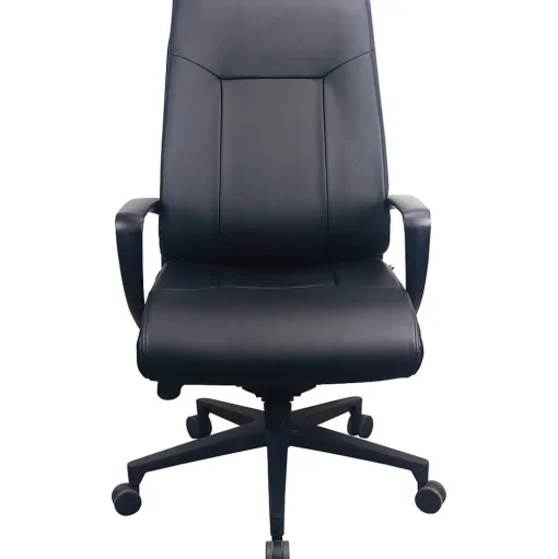Tempur-Pedic Office Chairs<Ergonomic Leather Swivel Executive Chair, Black (TP2500-BLKL)