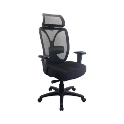 Tempur-Pedic Office Chairs<Mesh Back Fabric Computer and Desk Chair, Black (TP6450-BLKMB)