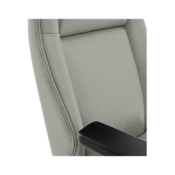 Thomasville Furniture Office Chairs<Darius Ergonomic Bonded Leather Swivel Executive Chair, Gray (51490-GRY)