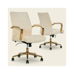 Thomasville Furniture Ergonomic Chairs<Jolie Ergonomic Fabric Swivel Desk Chair, (60068-CRM)