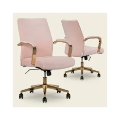 Thomasville Furniture Ergonomic Chairs<Jolie Ergonomic Fabric Swivel Desk Chair, (60068-BLSH)