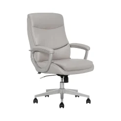 Thomasville Furniture Ergonomic Chairs<Josephine Ergonomic Bonded Leather Swivel Manager Chair, Gray (60071-LGRY)