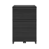 Thomasville Furniture File Cabinets<Latimer 2-Drawer Vertical File Cabinet, Pedestal, Burnt Ash, 20.8"D (SPLS-LADF-TV)