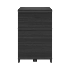 Thomasville Furniture File Cabinets<Latimer 2-Drawer Vertical File Cabinet, Pedestal, Burnt Ash, 20.8"D (SPLS-LADF-TV)