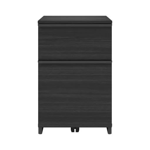 Thomasville Furniture File Cabinets<Latimer 2-Drawer Vertical File Cabinet, Pedestal, Burnt Ash, 20.8"D (SPLS-LADF-TV)