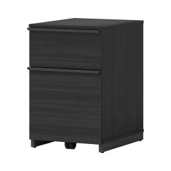 Thomasville Furniture File Cabinets<Latimer 2-Drawer Vertical File Cabinet, Pedestal, Burnt Ash, 20.8"D (SPLS-LADF-TV)