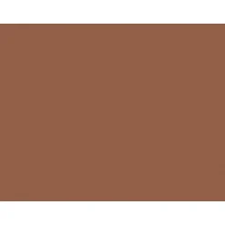 Pacon Construction Paper<Tru-Ray® Construction Paper, Warm Brown, 18" x 24", 50 Sheets Per Pack, 2 Packs (PAC103089-2)