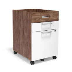 Union & Scale File Cabinets<™ Essentials 2-Drawer Mobile Vertical File Cabinet, Letter/Legal, Lockable, 24.2"H x 15.5"W x 21"D,