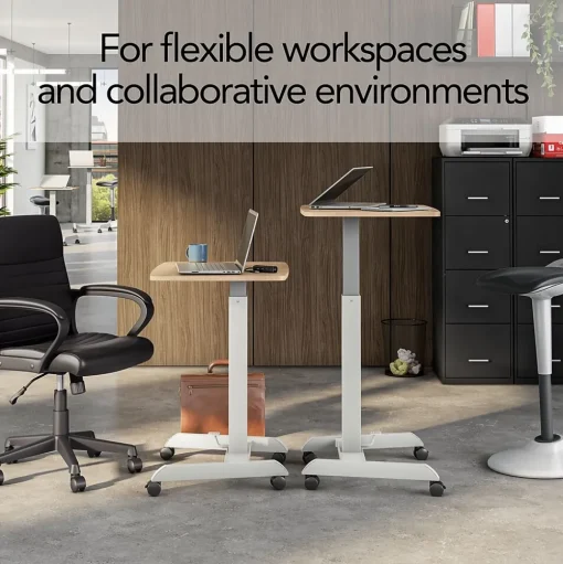Union & Scale Standing Desks<™ Essentials 24"W Rectangular Adjustable Standing Desk, Natural (FWS07-2)