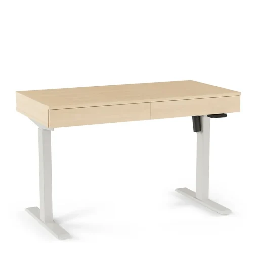 Union & Scale Standing Desks<™ Essentials 48"W Rectangular Adjustable Standing Desk, Natural (UN60416-CC)