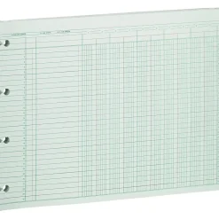 Wilson Jones Accounting & Record Journals<Columnar Ruled Sheets, 10 Columns, 9.25" x 11.8", Green, 100 Sheets/Pack (WG10-10AA)