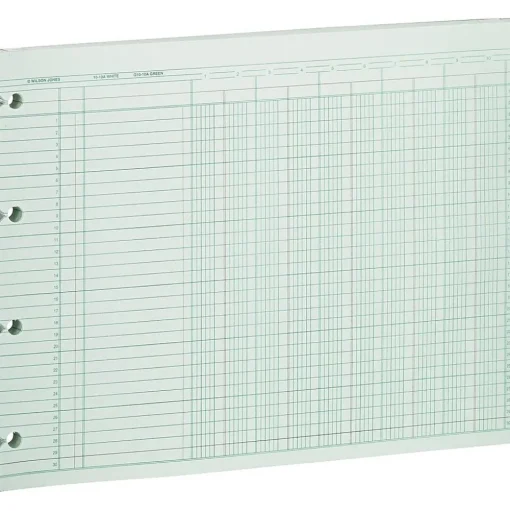 Wilson Jones Accounting & Record Journals<Columnar Ruled Sheets, 10 Columns, 9.25" x 11.8", Green, 100 Sheets/Pack (WG10-10AA)