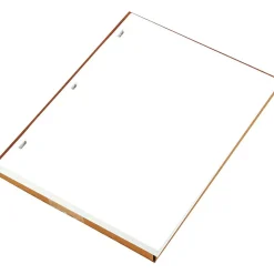 Wilson Jones Accounting & Record Journals<Ledger Paper, 8 1/2" x 11", White, 100 Sheets/Box (WLJ90310)
