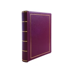 ACCO Accounting & Record Journals<Wilson Jones Minute Record Book, 9.3"W x 11.6"H x 1.7"D, Red (W0396-11)